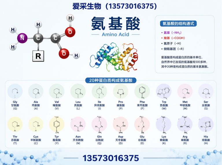 鄄城县氨基酸展示图